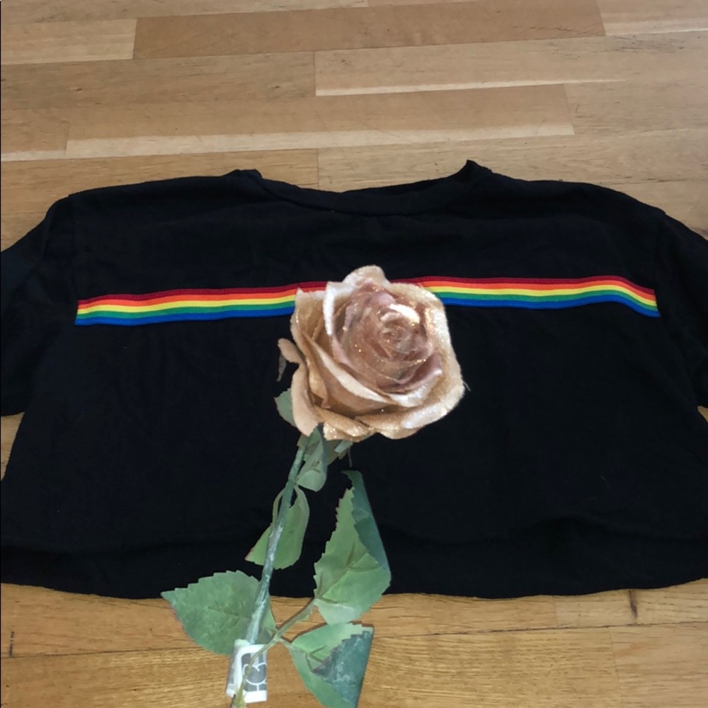 Cute Rainbow Crop Top